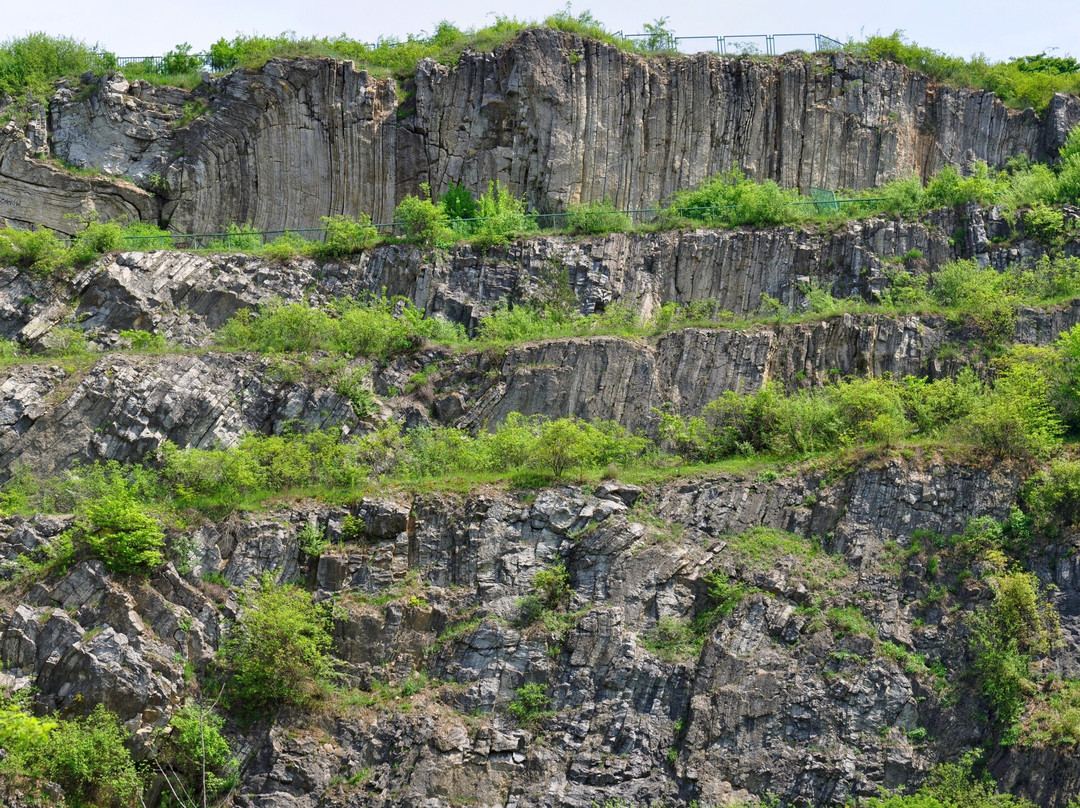 Rezerwat Skalny Slichowice景点图片