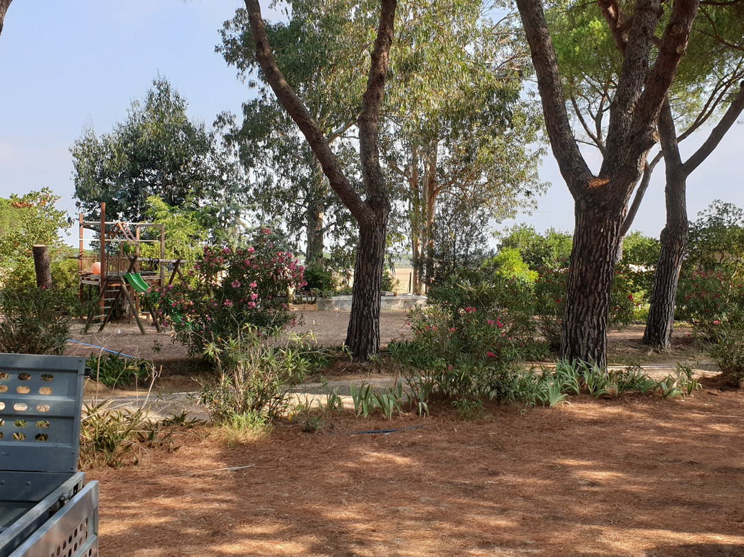 Podere Oslavia主图