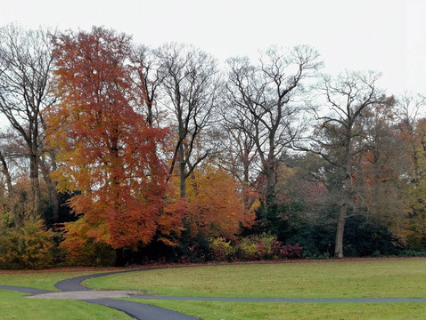 Park Seminarie-Driebergen-Rijsenburg必去景点