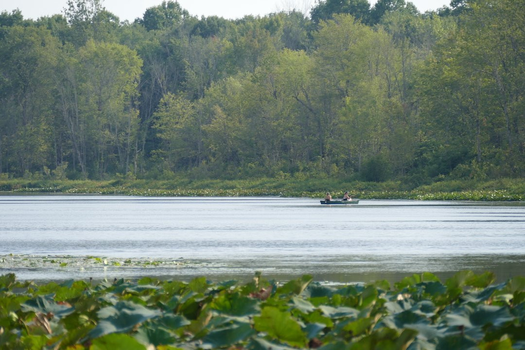 Bass Lake Preserve-Chardon必去景点