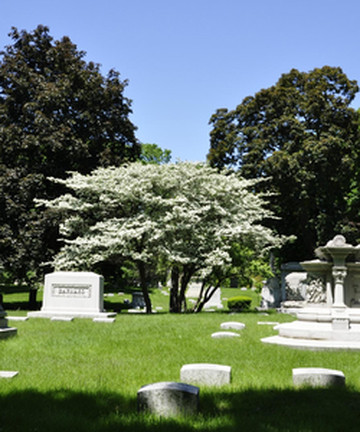 Forest Home Cemetery & Arboretum景点门票图片
