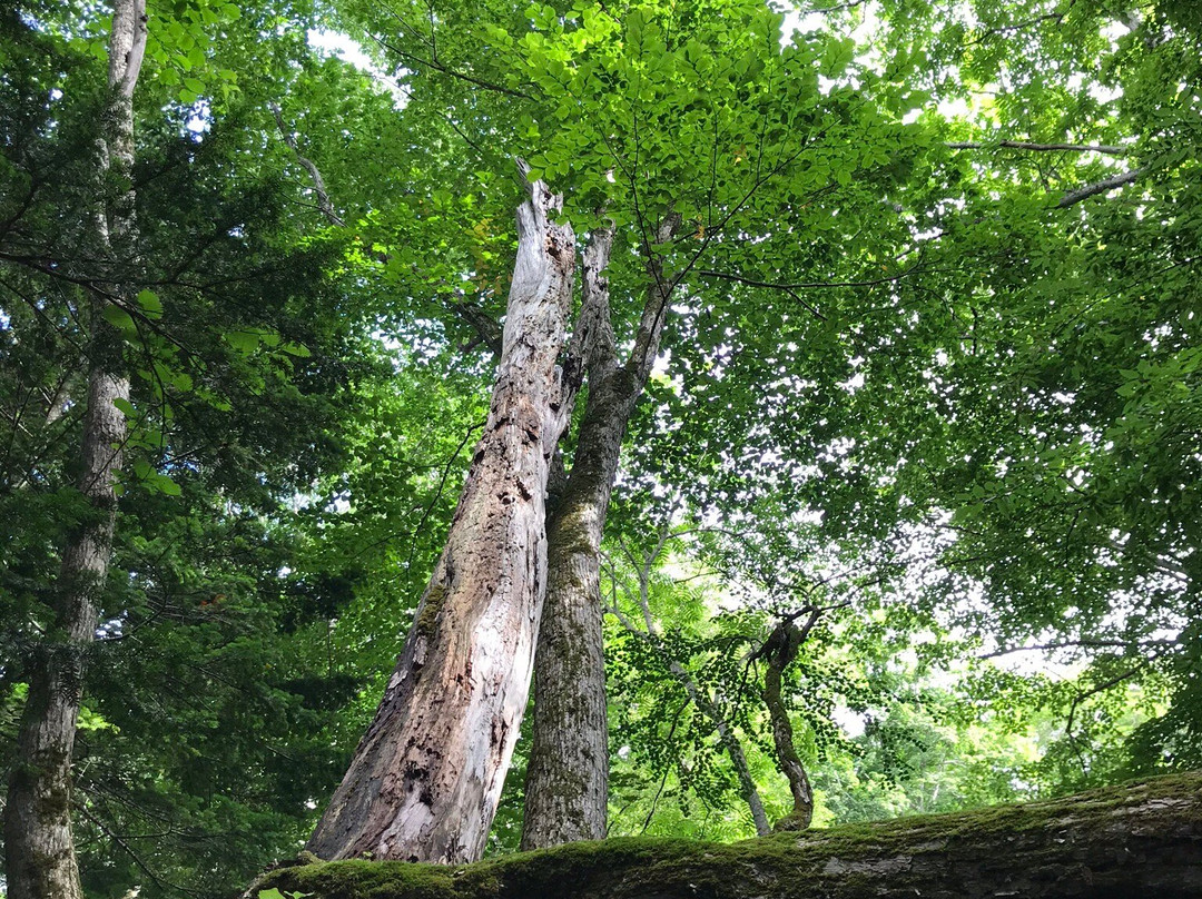 Akan-Mashu National Park-北海道必去景点