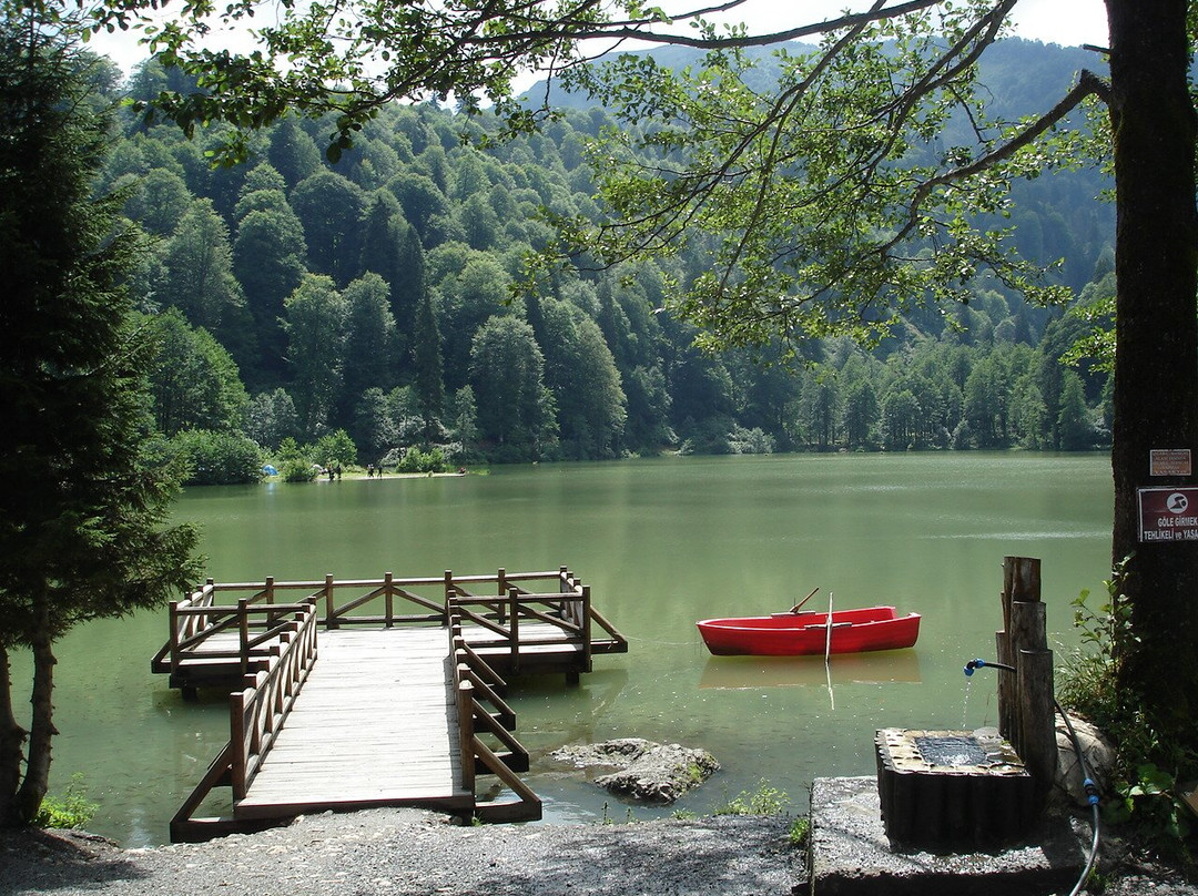 Borcka旅游攻略图片