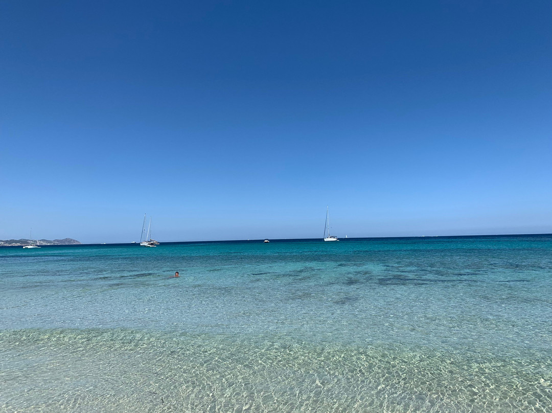 Platja Des Cavallet-伊维萨城区必去景点