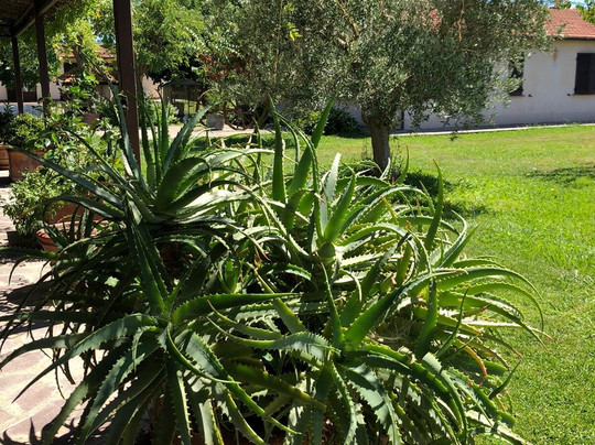 Agriturismo Podere 571主图