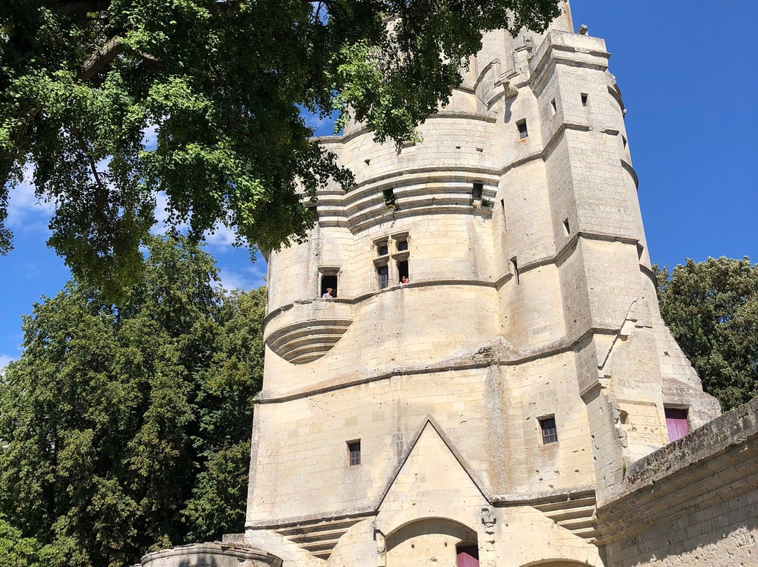 Donjon de Septmonts景点图片