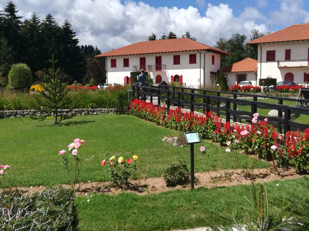 Parco Di Villa Vittoria景点图片