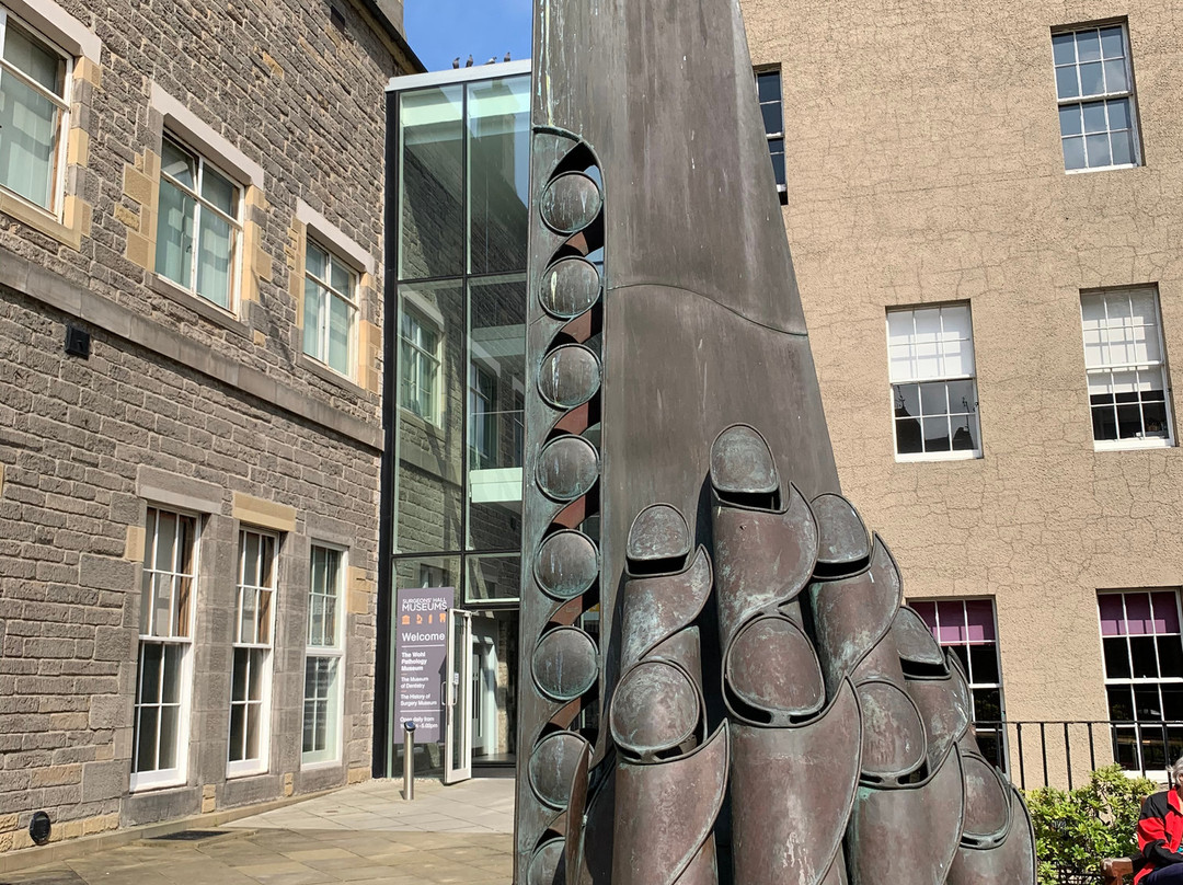 Surgeons' Hall Museums-爱丁堡必去景点