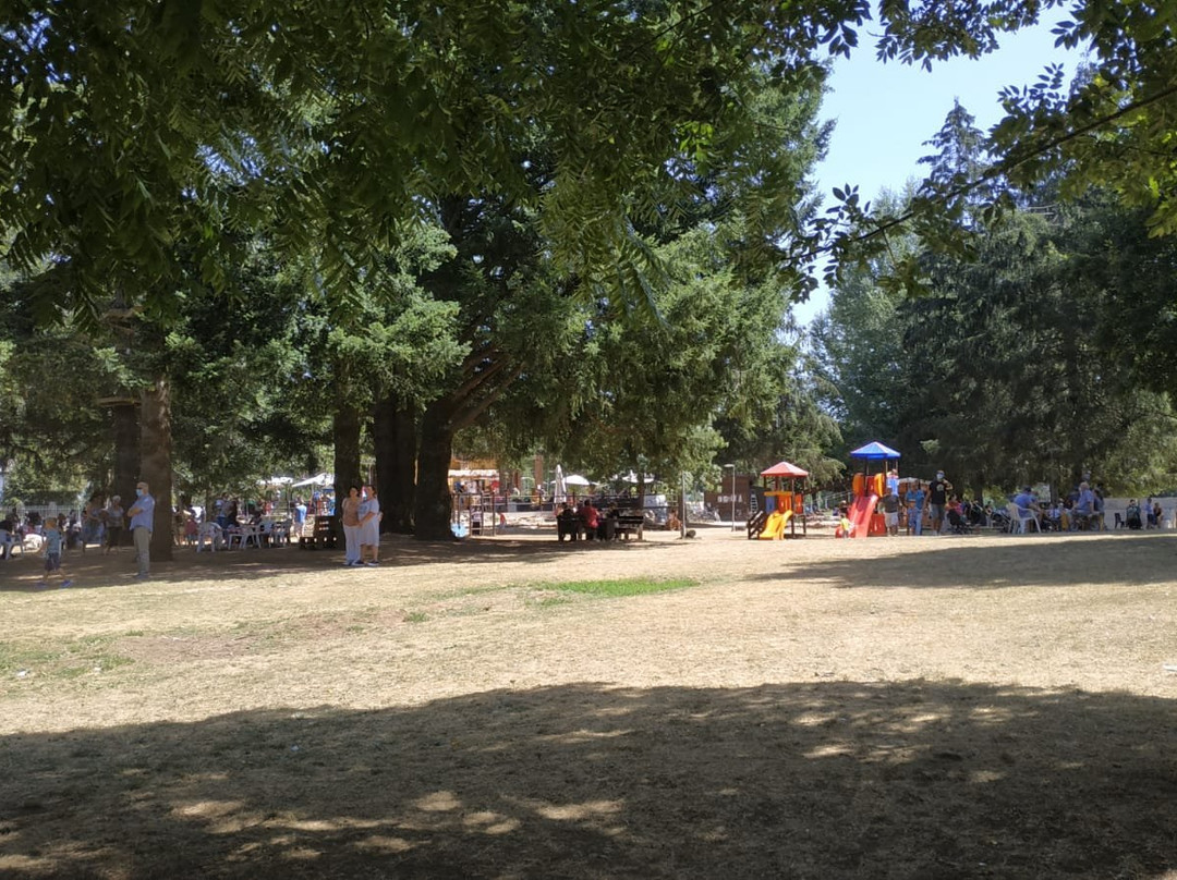 Altipiani Adventures Park景点图片