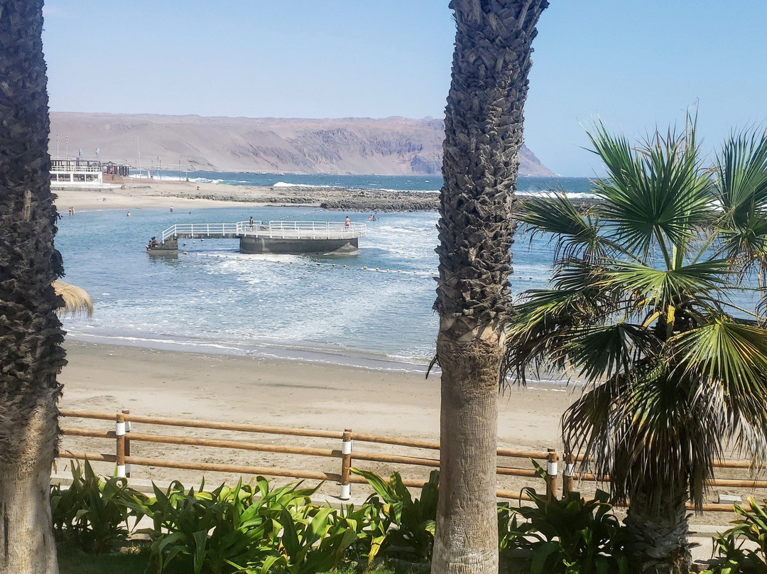 Playa La Lisera-阿里卡必去景点