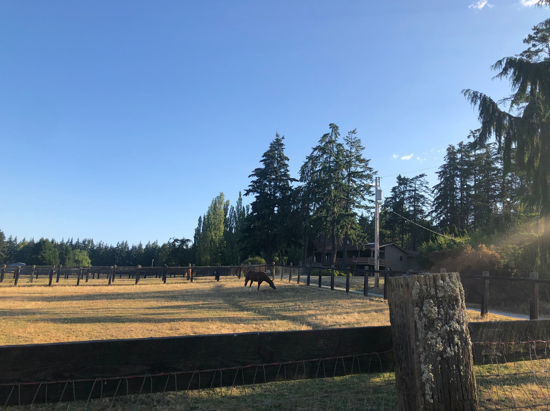 Wildwood Farm Bed and Breakfast主图