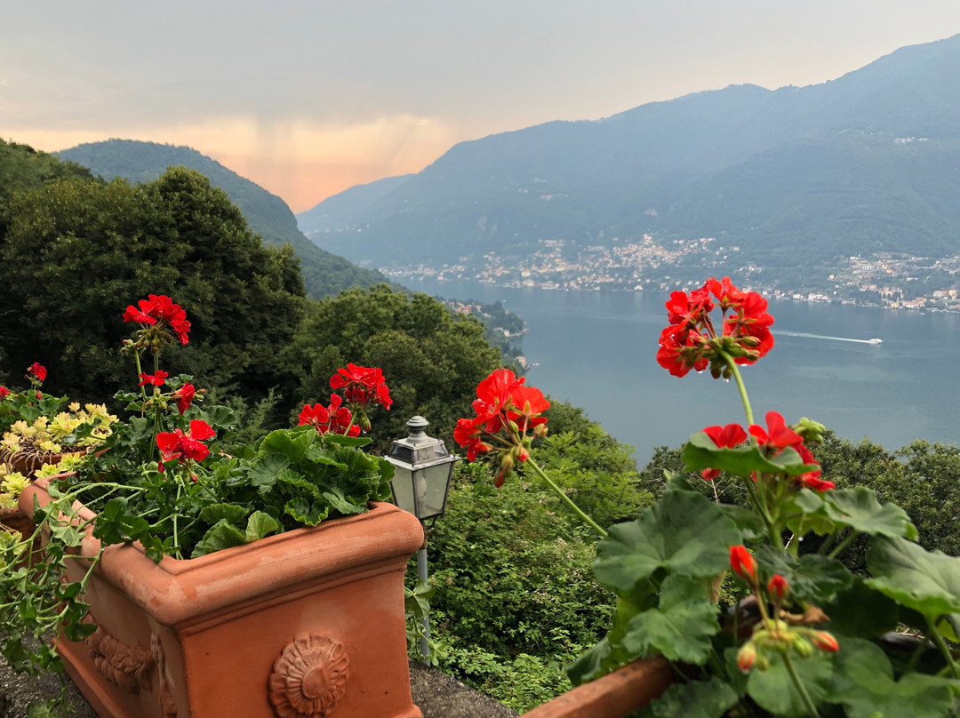 绣球B&B旅馆主图