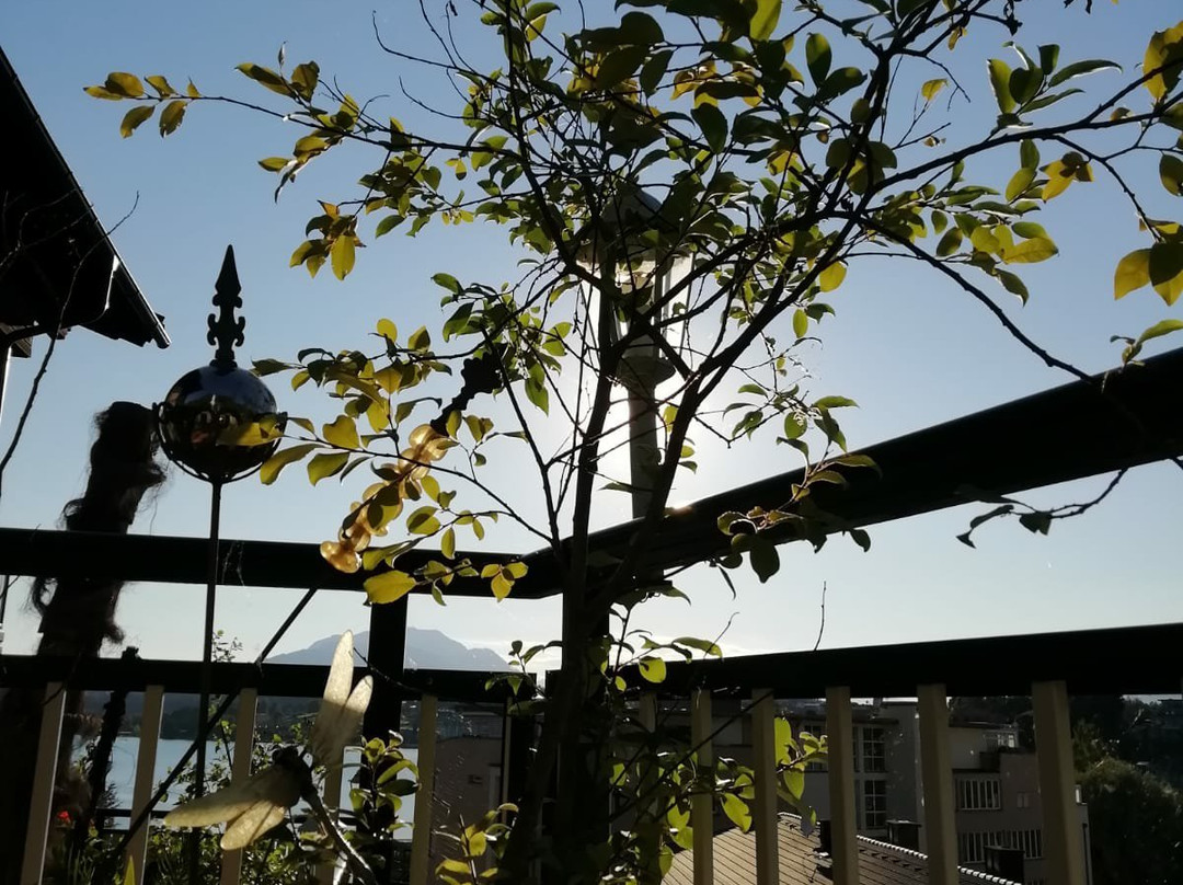 Hotel Villa Desiree主图