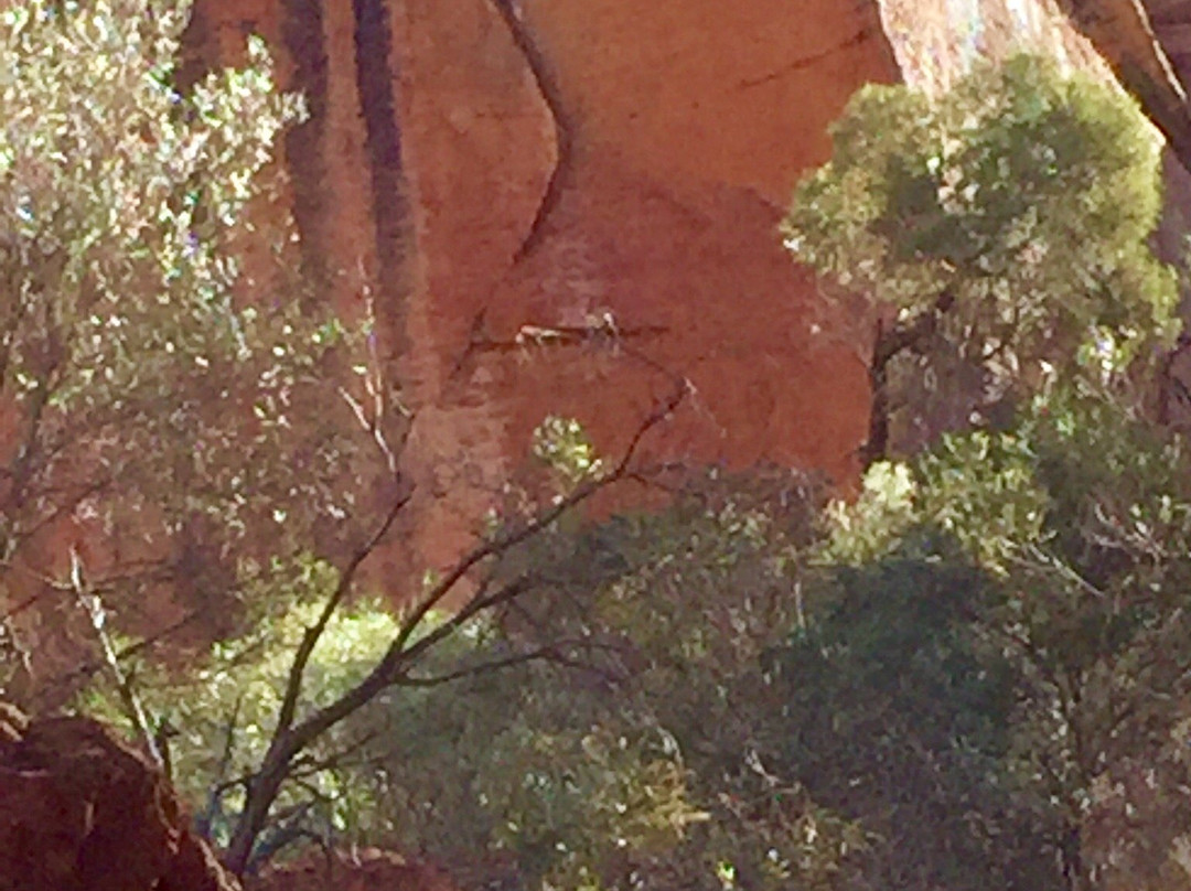 Kennedy Range National Park-卡那封必去景点