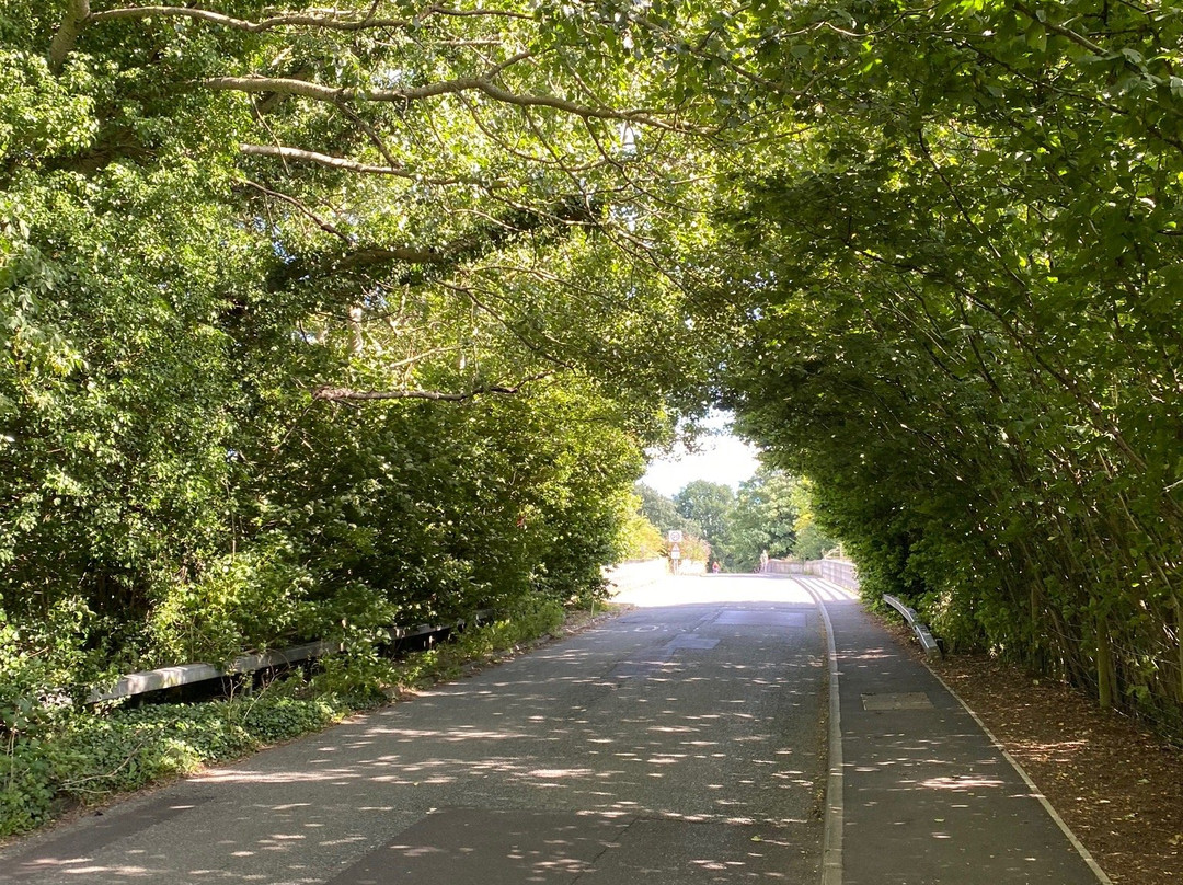 Batheaston Toll Bridge-Batheaston必去景点