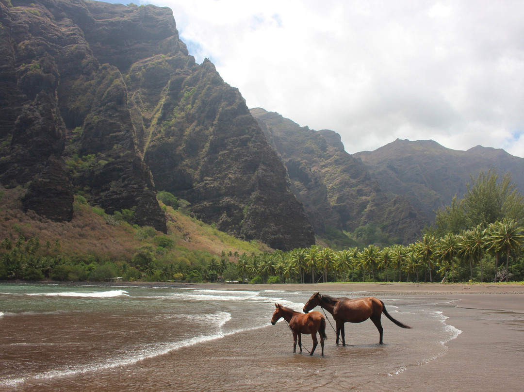 Hakaui Adventure with Ana and Tangy