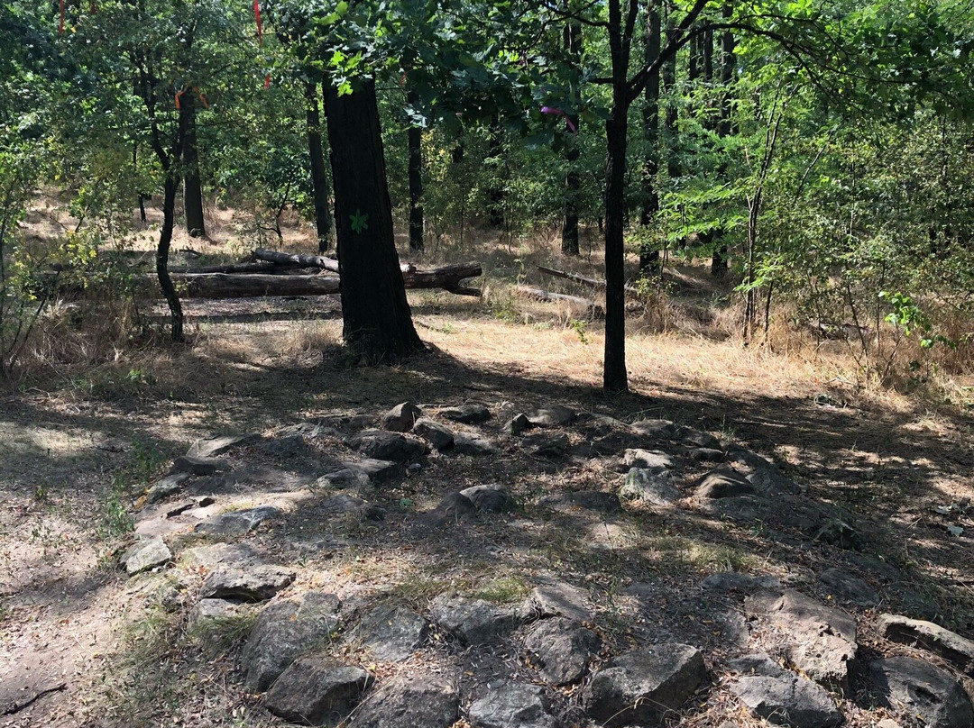 Khortitsa National Nature Reserve景点图片