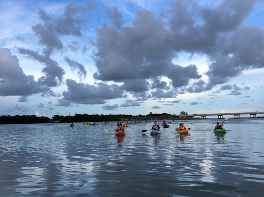 Sandy Feet Kayak Rental-帕姆港必去景点