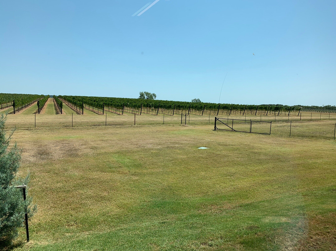 Heath Sparkling Wines景点图片