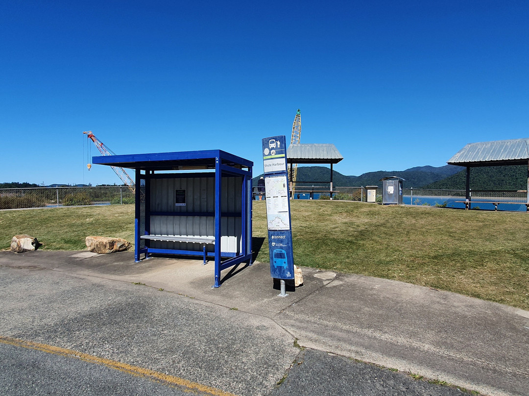 Lion's Lookout-舒特港必去景点