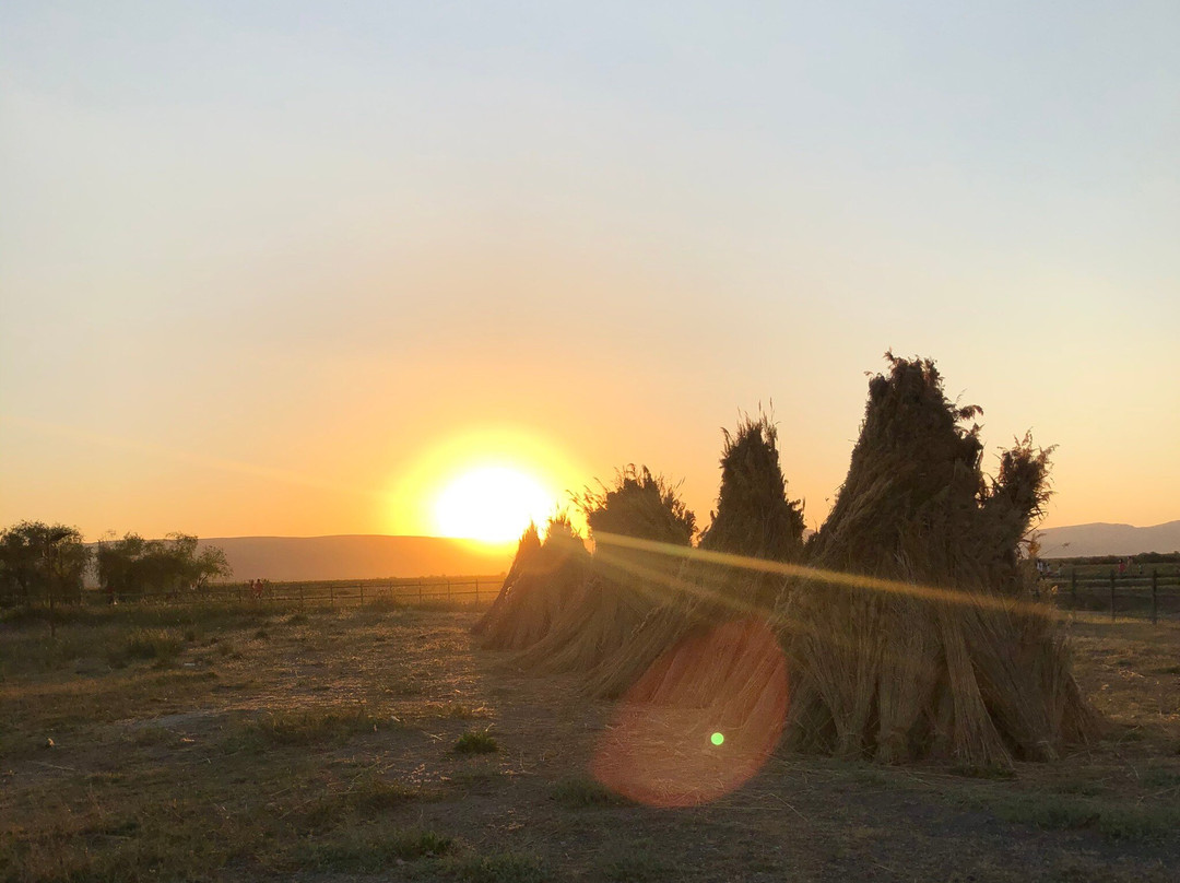 Sultan Sazlığı Bird Sanctuary景点图片