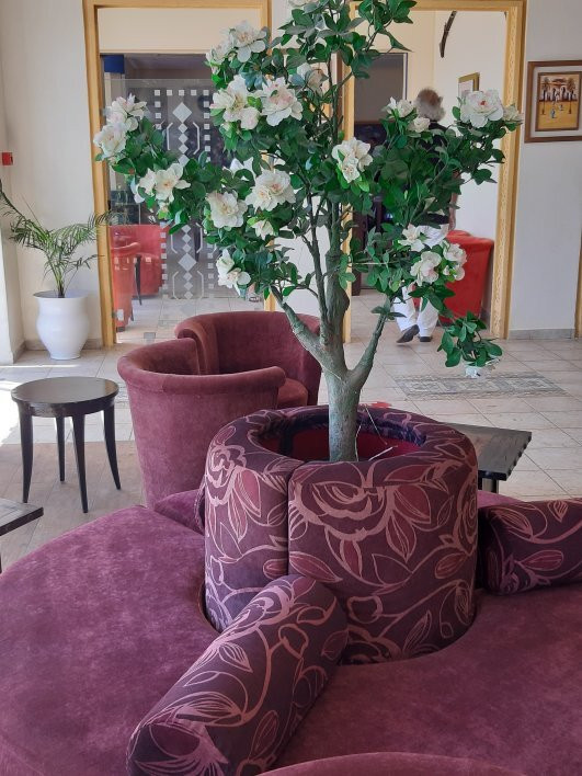 Senator Hotel Fnideq主图