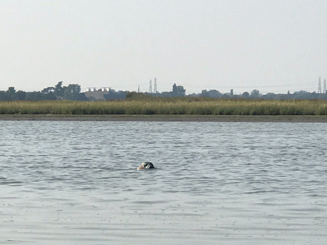 Iken Canoe-Aldeburgh必去景点