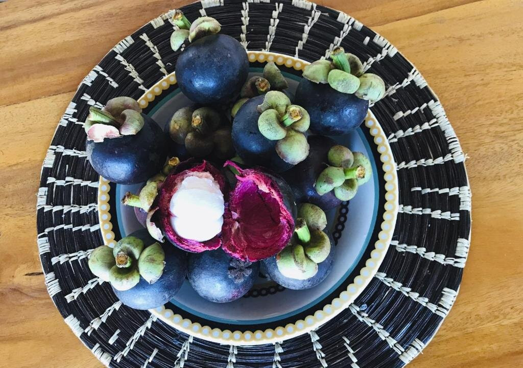 Fazenda Eco Jardim主图