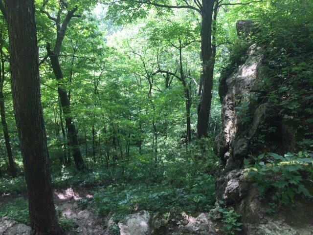 Ledge County Park-Horicon必去景点