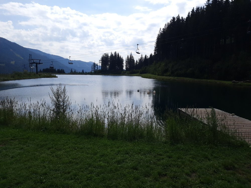 Grüblsee Alpenaquarium-Vordernberg必去景点