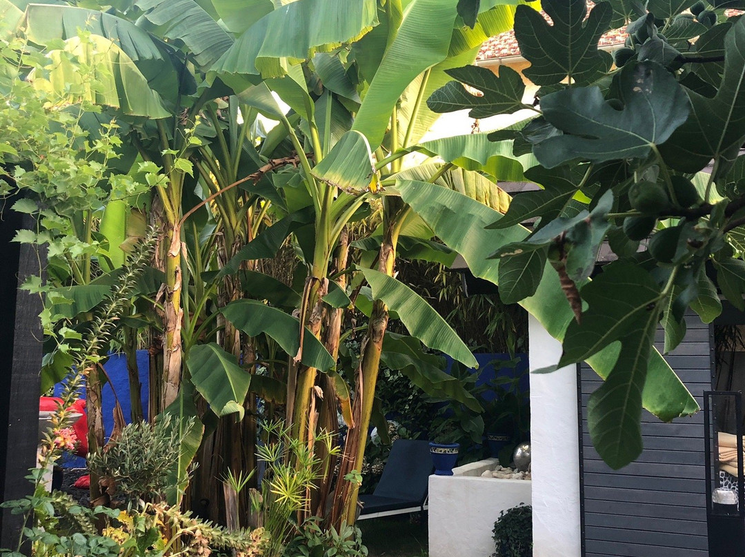 La Maison de Patrice主图