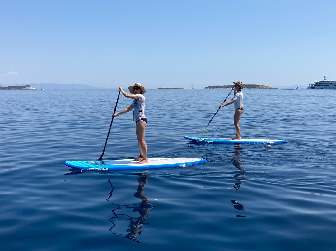 Stand Up Paddle Vis景点图片