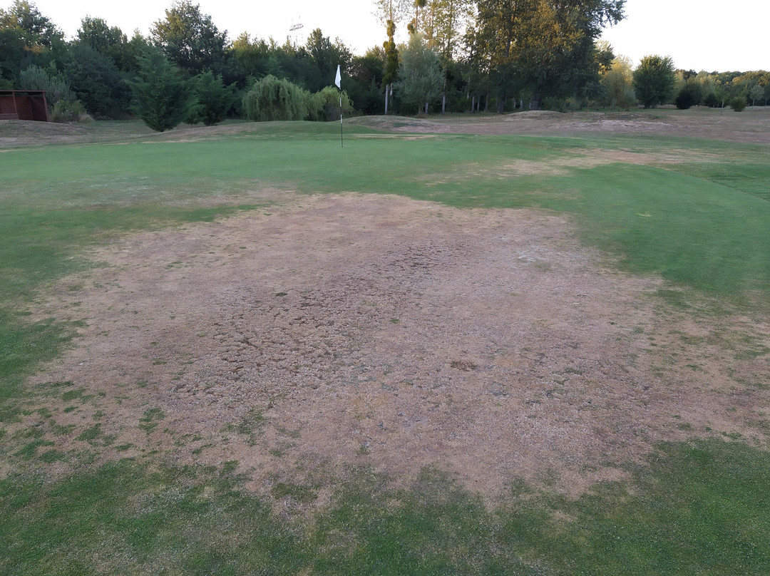 Golf de la Forêt d'Orient-Rouilly Sacey必去景点