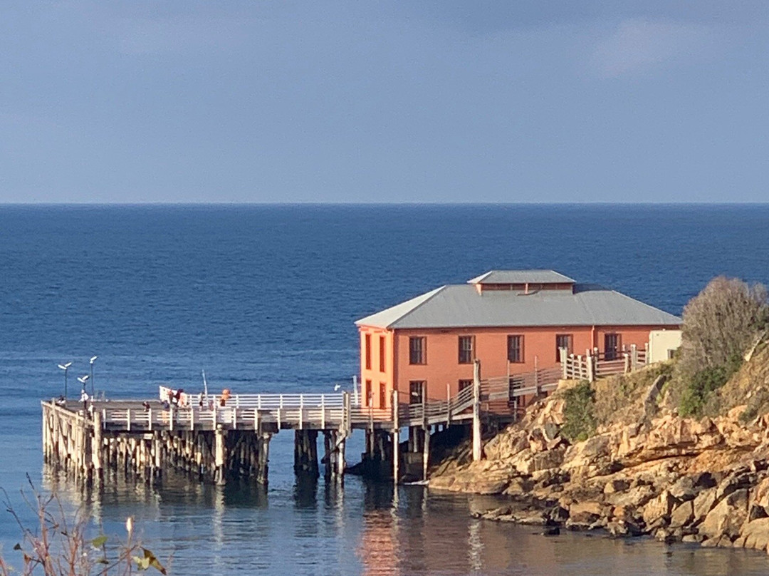 塔斯拉海滩楼主图