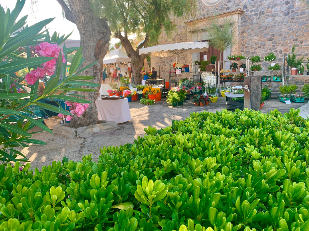Son Serra de Marina Beach-Son Serra de Marina必去景点