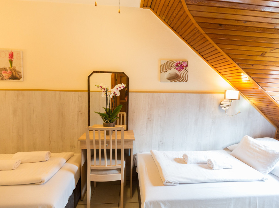 帕西欧佩泽欧酒店主图