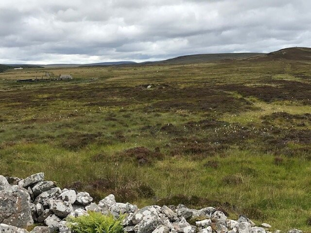 Dunbeath Strath景点图片