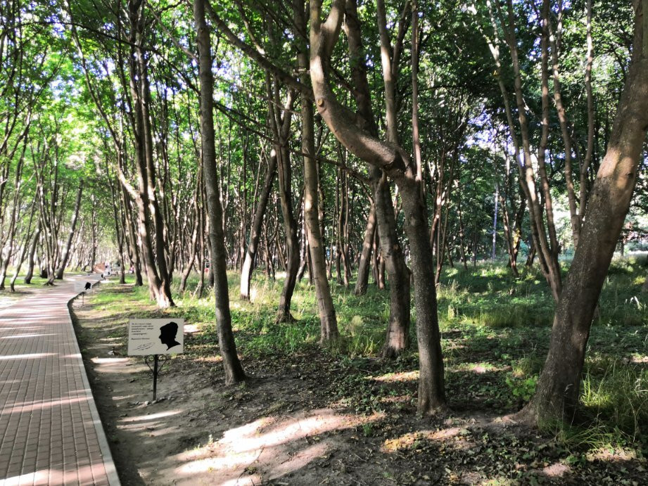 M. Becker Park-Yantarnyy必去景点