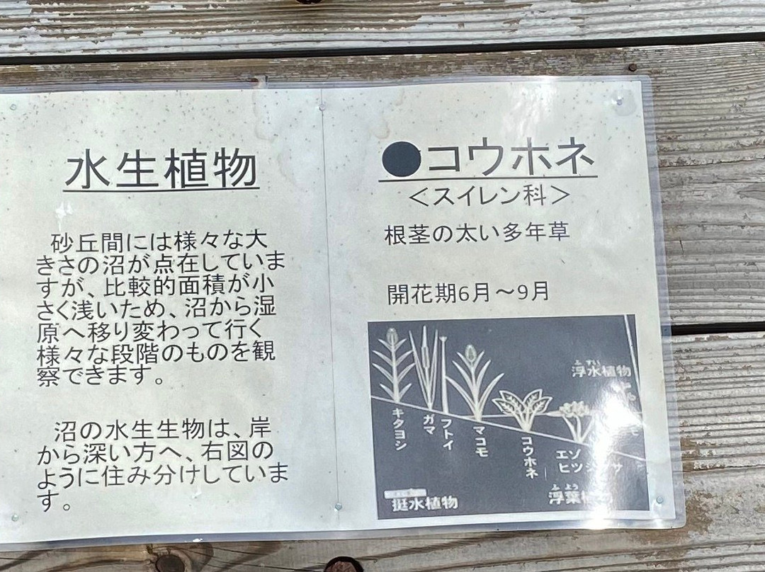 Hamayuchi Rest House (Kohone House)-稚内市必去景点