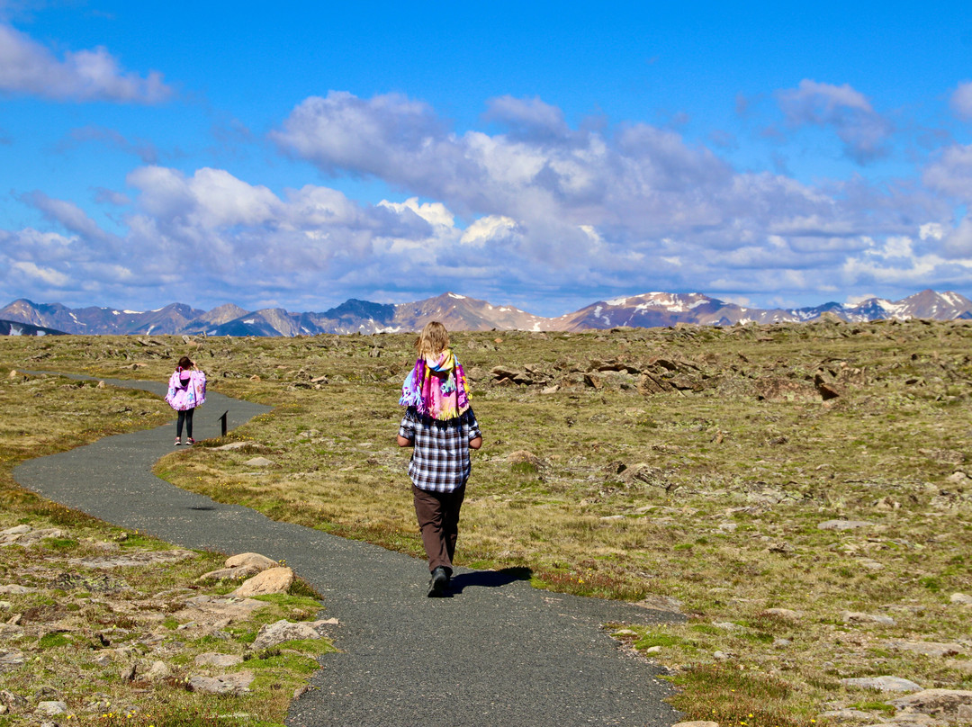 Tundra Communities Trail-落基山国家公园必去景点