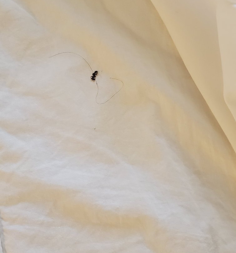 特拉斯特马克公园珀尔假日酒店主图