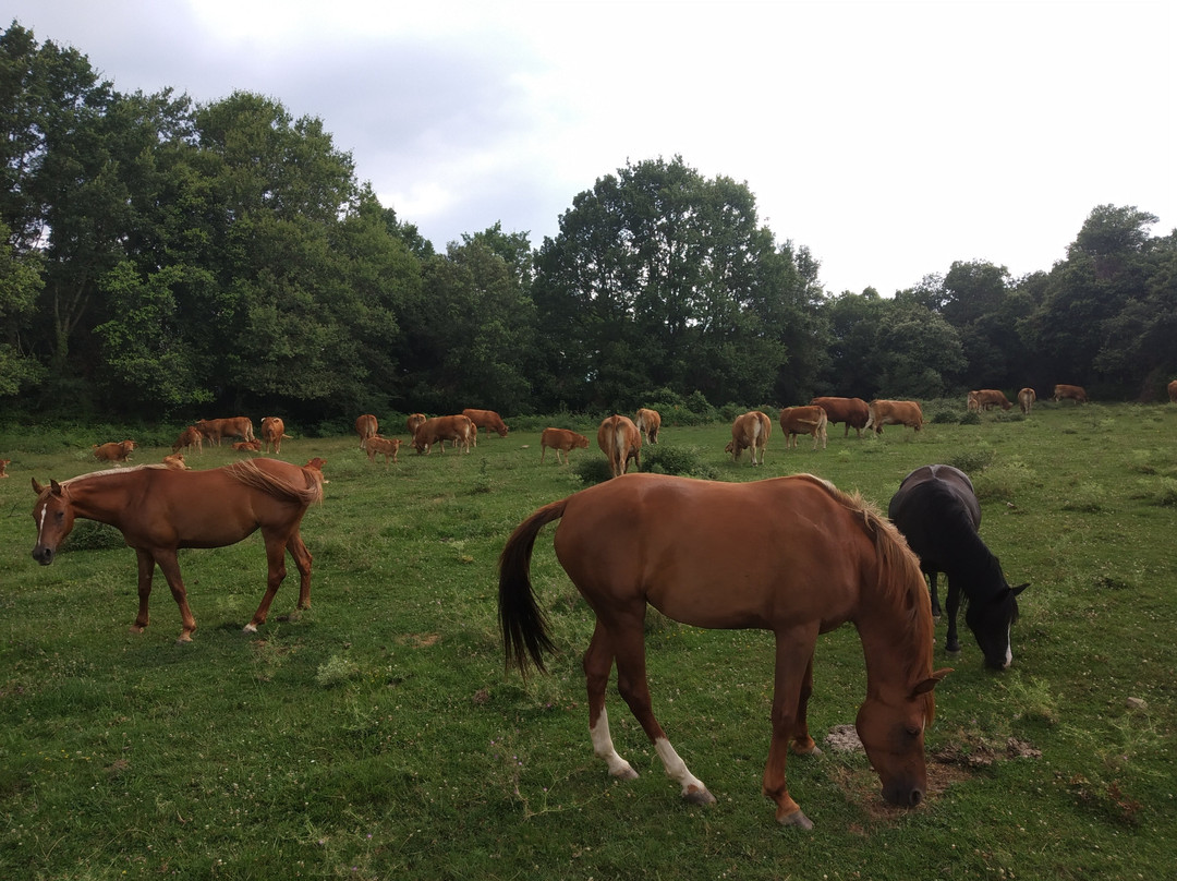 Finca El Ventos主图