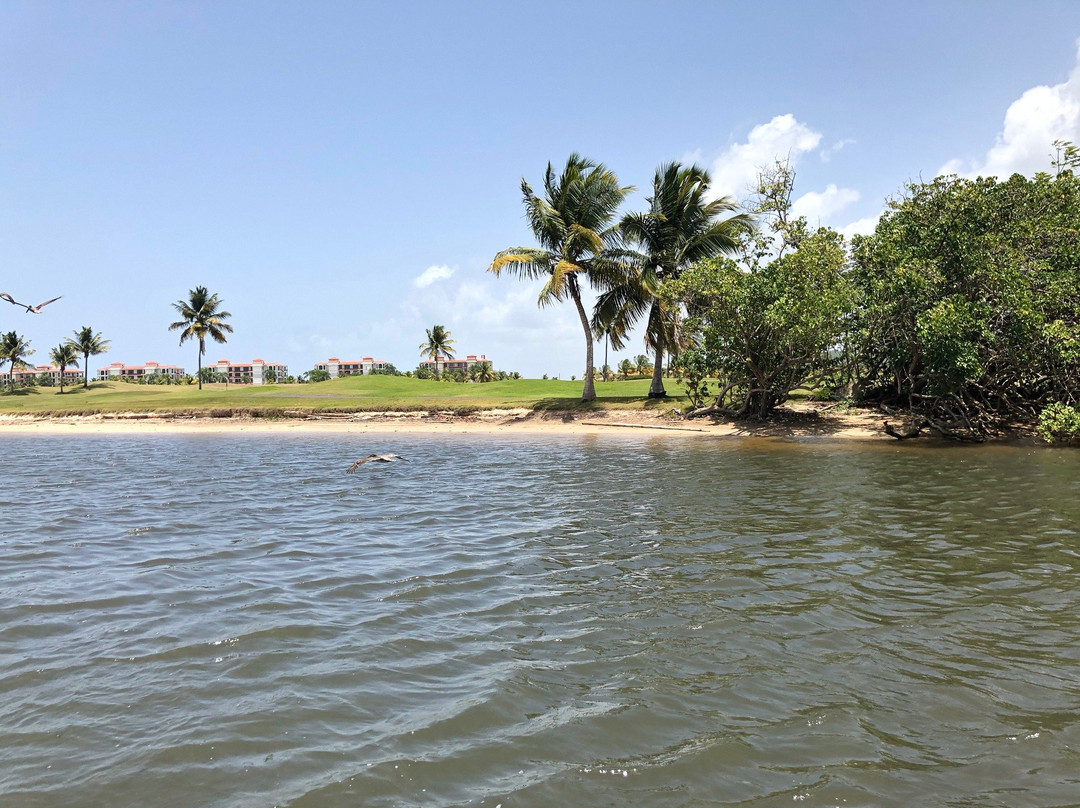 La Paseadora del Río Espíritu Santo-Rio Grande必去景点