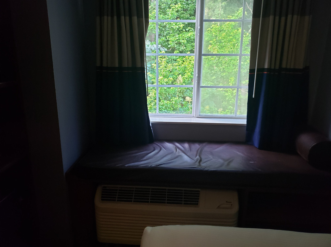 Microtel Inn & Suites by Wyndham Gardendale主图