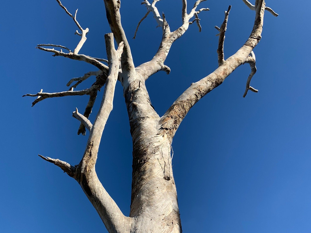 Down to Earth Farm Retreat主图