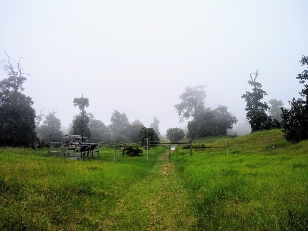 Hawai'i Volcanoes National Park Kahuku Unit景点图片