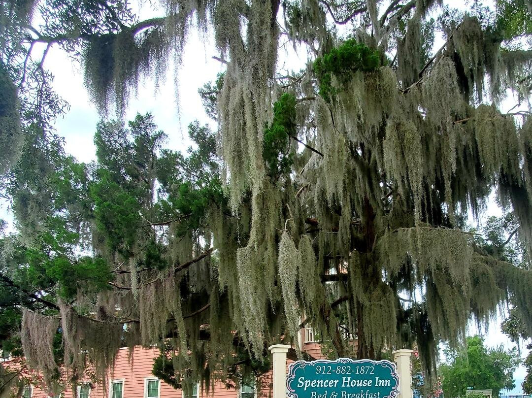 Spencer House Inn Bed and Breakfast主图