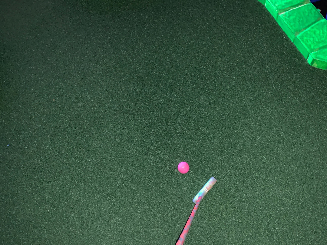 Jurassic Par Mini-Golf Limerick景点图片