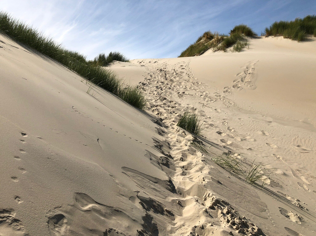 Groene Strand Beach-West-Terschelling必去景点