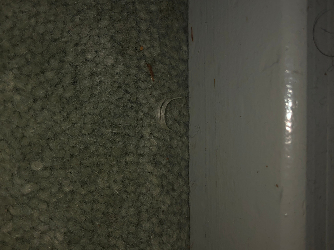 山景汽车旅馆和度假小屋主图